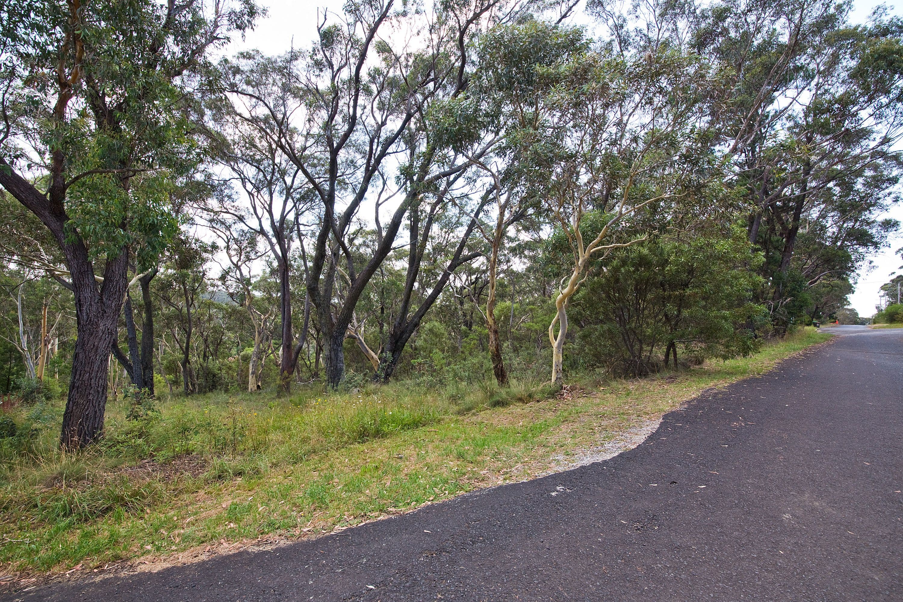 24 Godson Ave (Block 2), Blackheath NSW 2785, Blackheath - Image 1