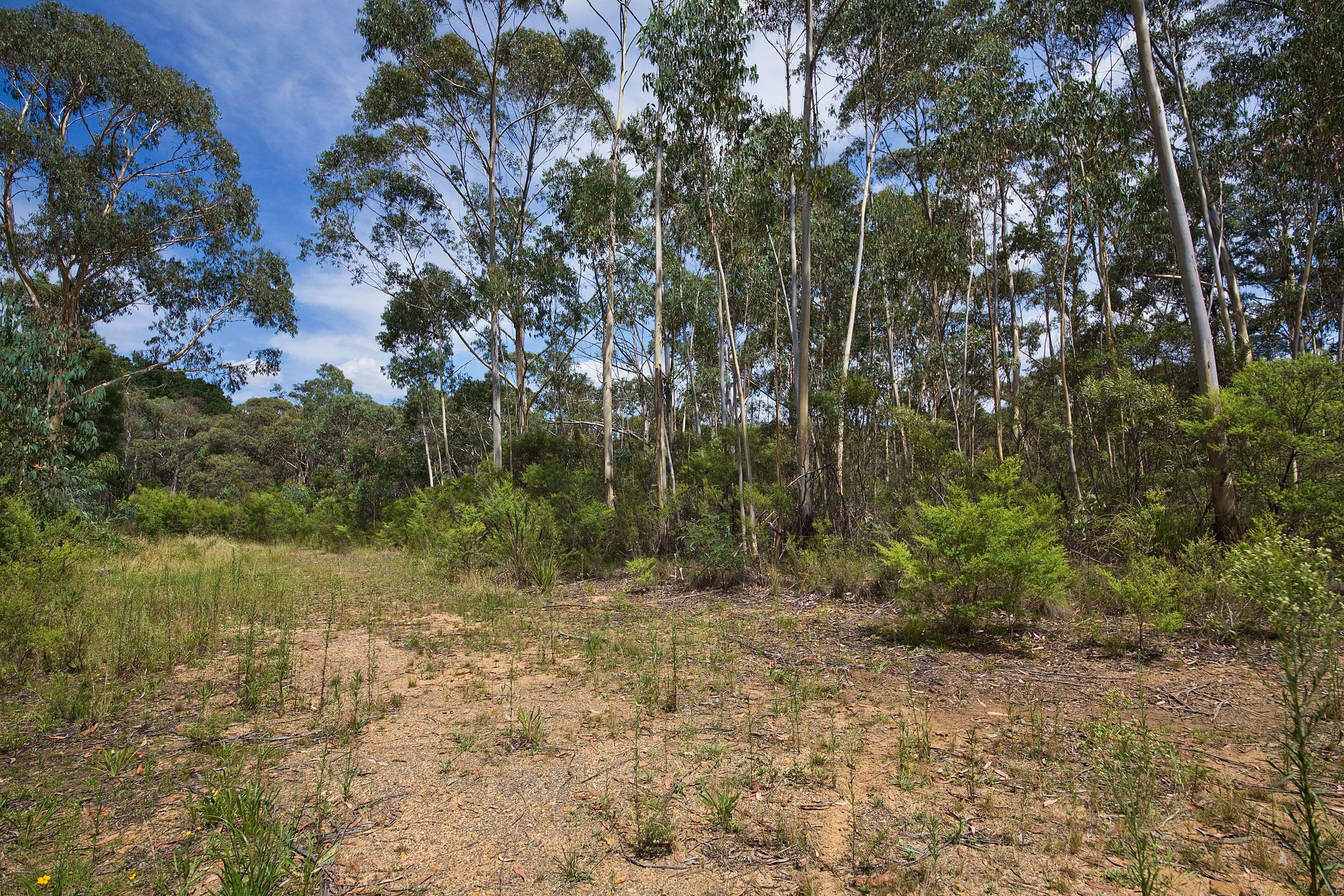 24 Godson Ave (Block 2), Blackheath NSW 2785, Blackheath - Thumbnail 4