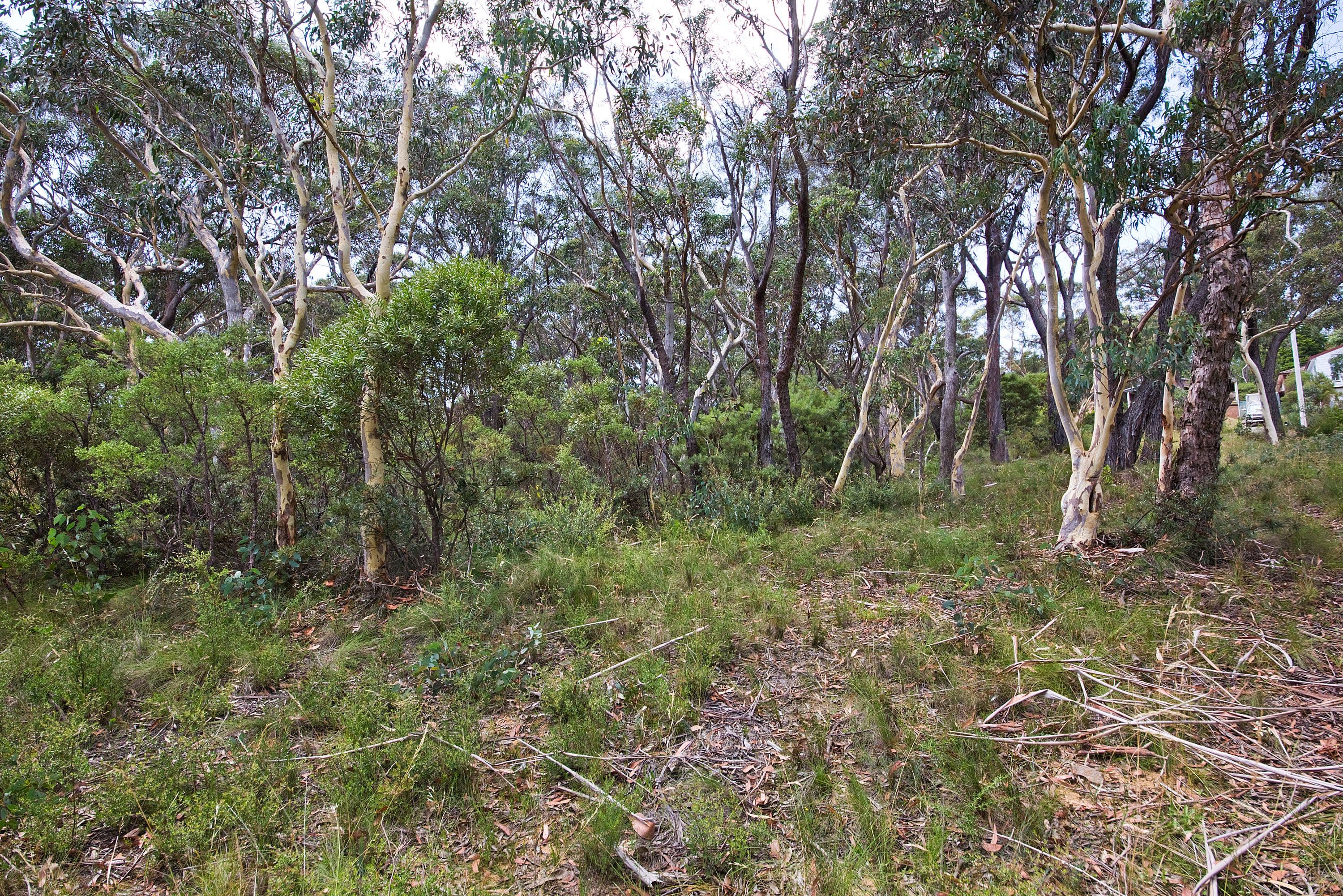 24 Godson Ave (Block 2), Blackheath NSW 2785, Blackheath - Thumbnail 5