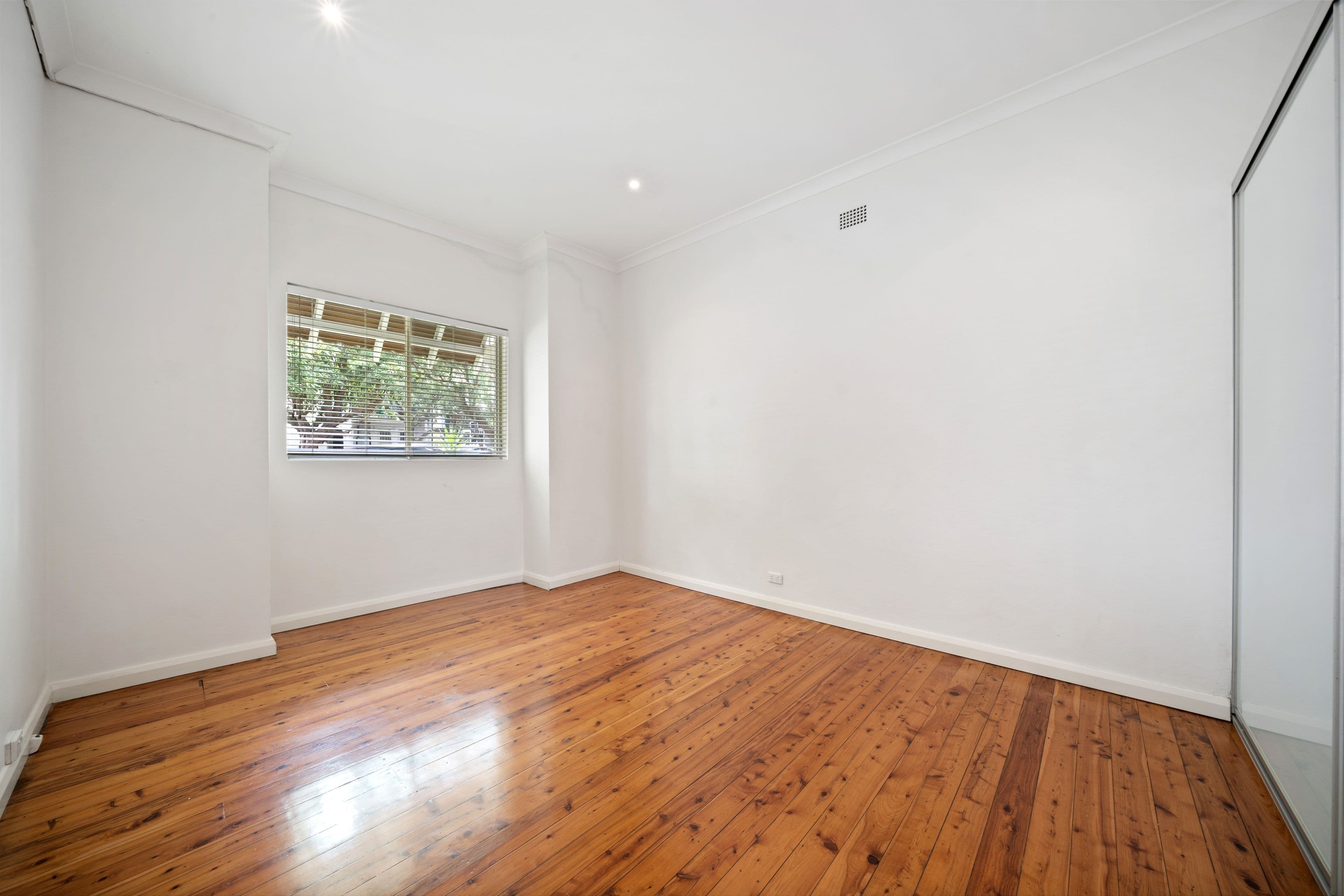 54 Albert Street, Leichhardt NSW 2040, Leichhardt - Thumbnail 3