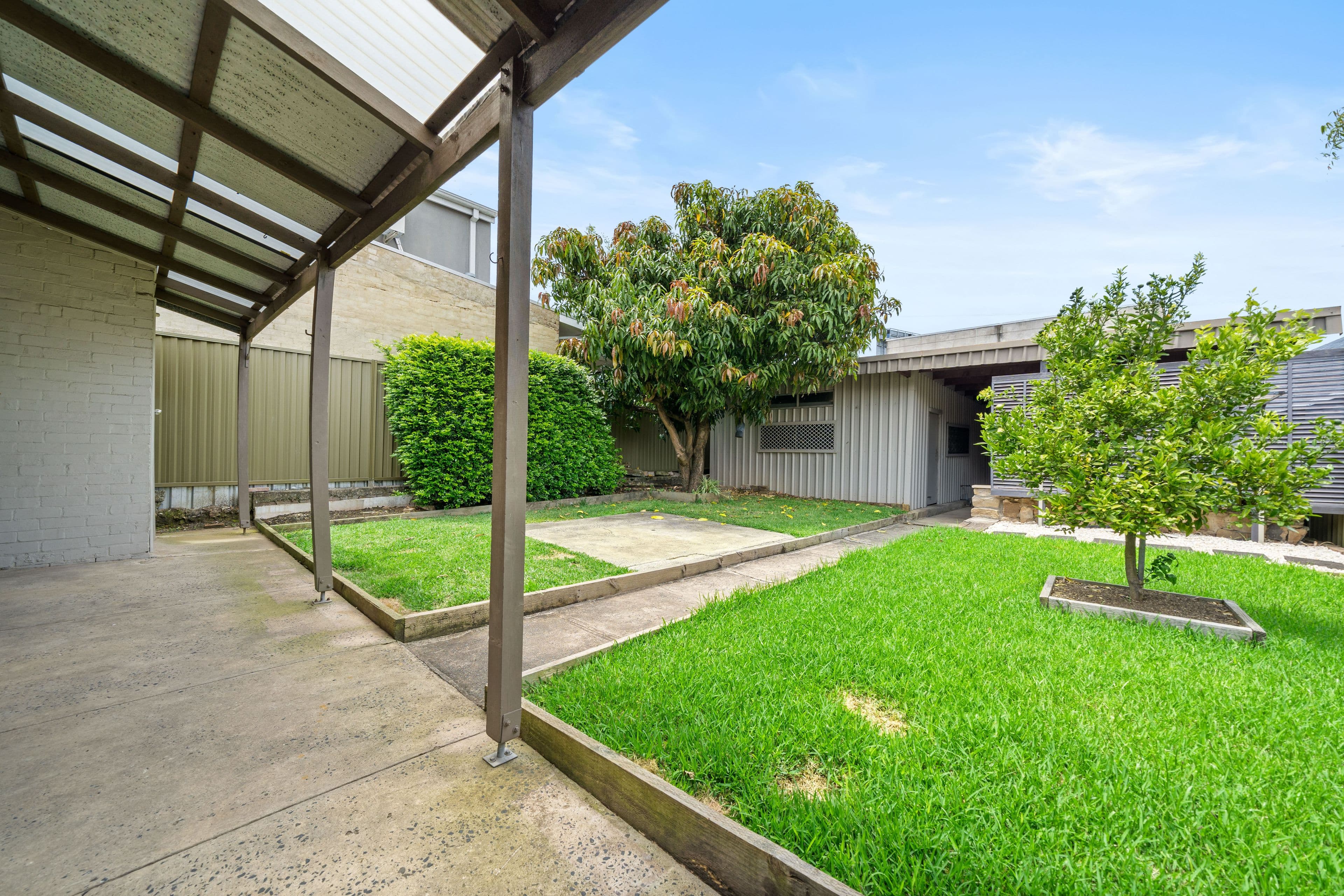 54 Albert Street, Leichhardt NSW 2040, Leichhardt - Thumbnail 5