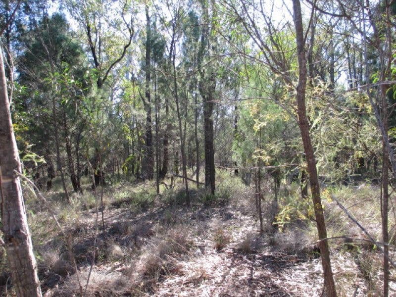 Lot 56, 0 Crosbies Road, Goranba QLD 4421, Goranba - Thumbnail 3