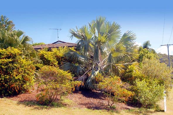 6 Athena Avenue, YEPPOON QLD 4703, Yeppoon - Thumbnail 2