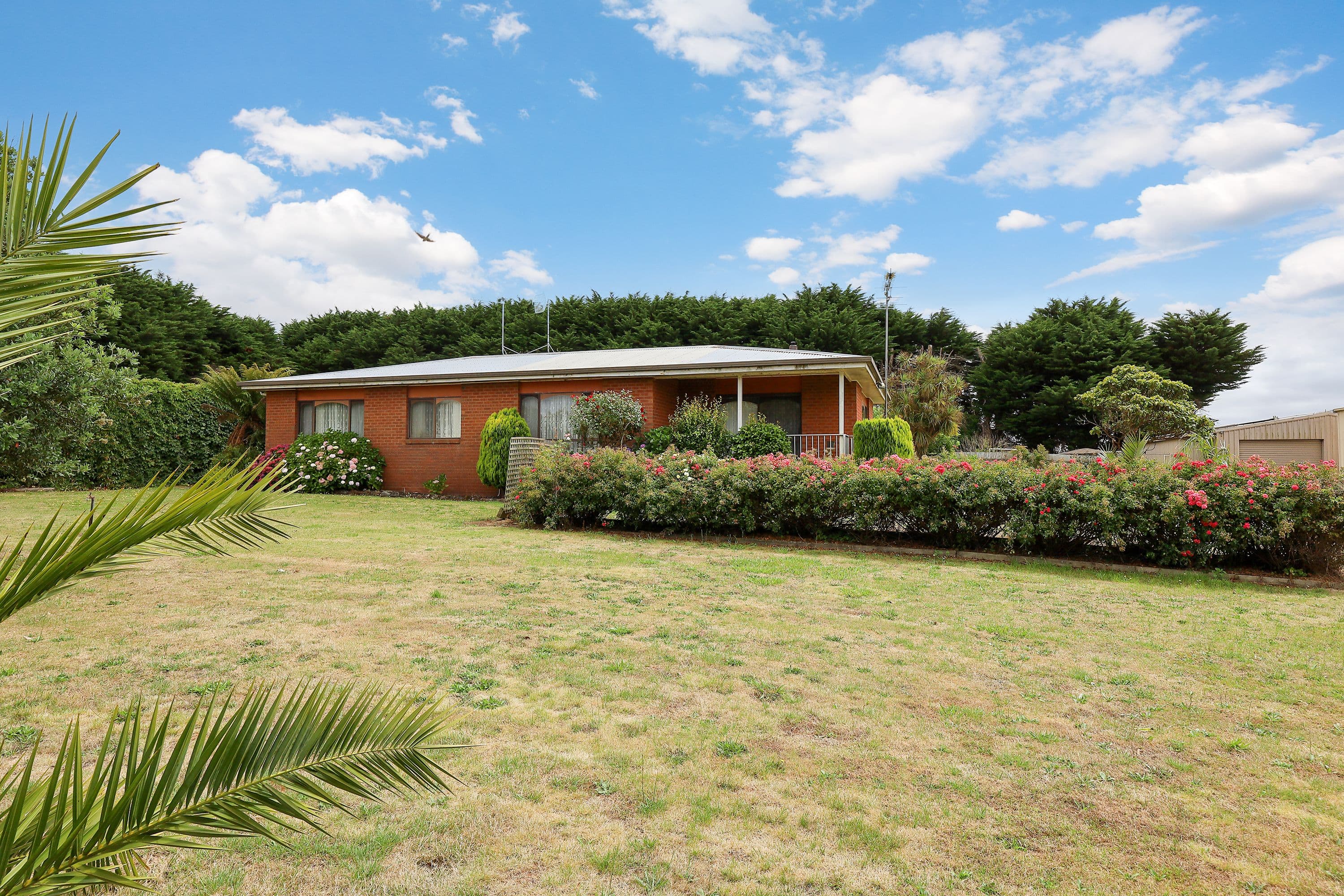 385 Coradjil Road, Simpson VIC 3266, Simpson - Thumbnail 2