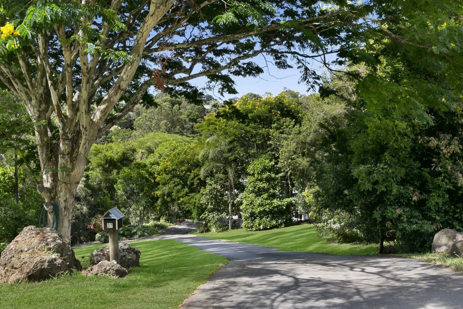 37 Veronica Drive, Tallai QLD 4213, Tallai - Thumbnail 5