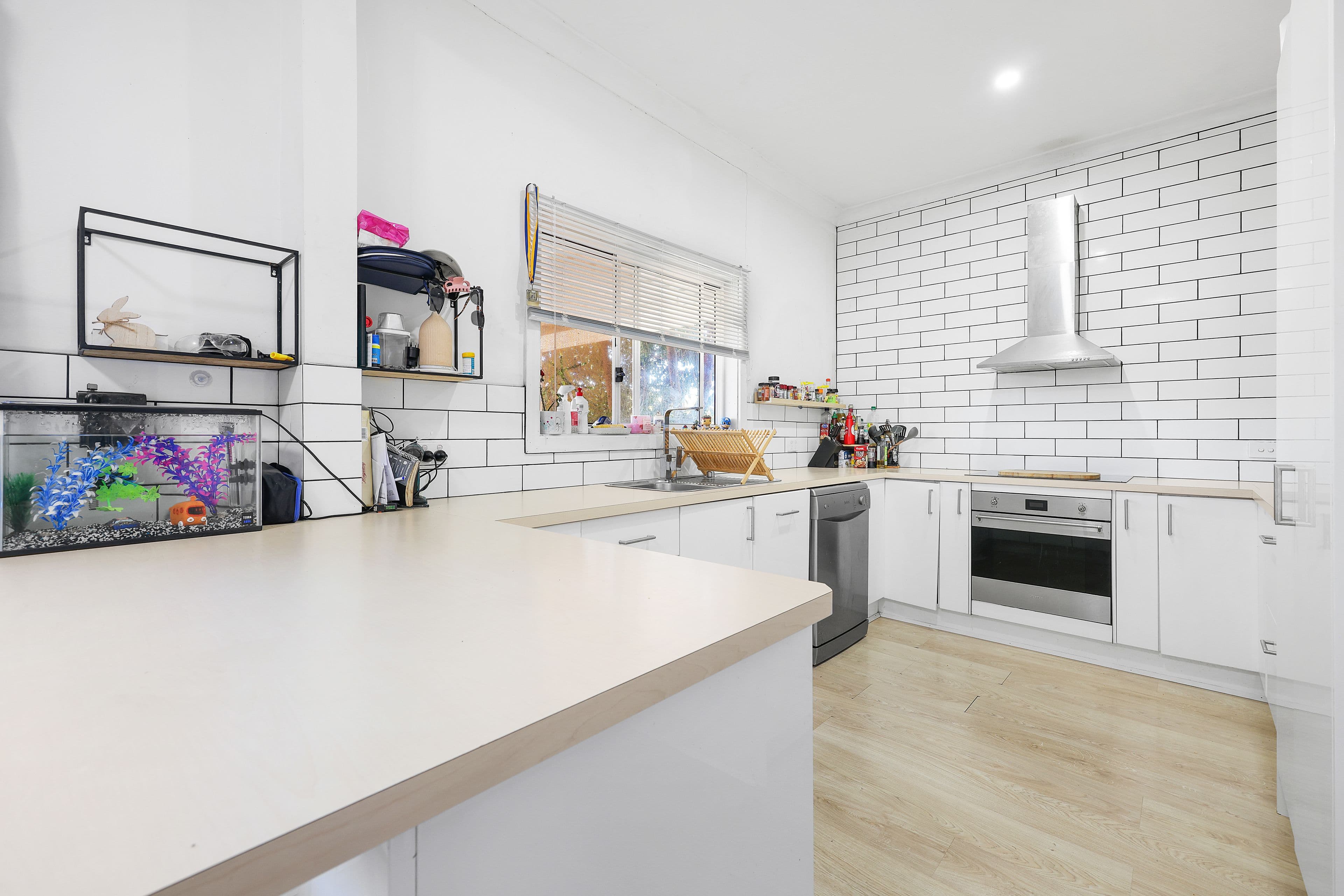 307 Goonoo Goonoo Road, Tamworth NSW 2340, Hillvue - Thumbnail 5
