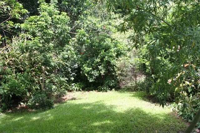 31  Matong Street, HENDRA QLD 4011, Hendra - Thumbnail 5
