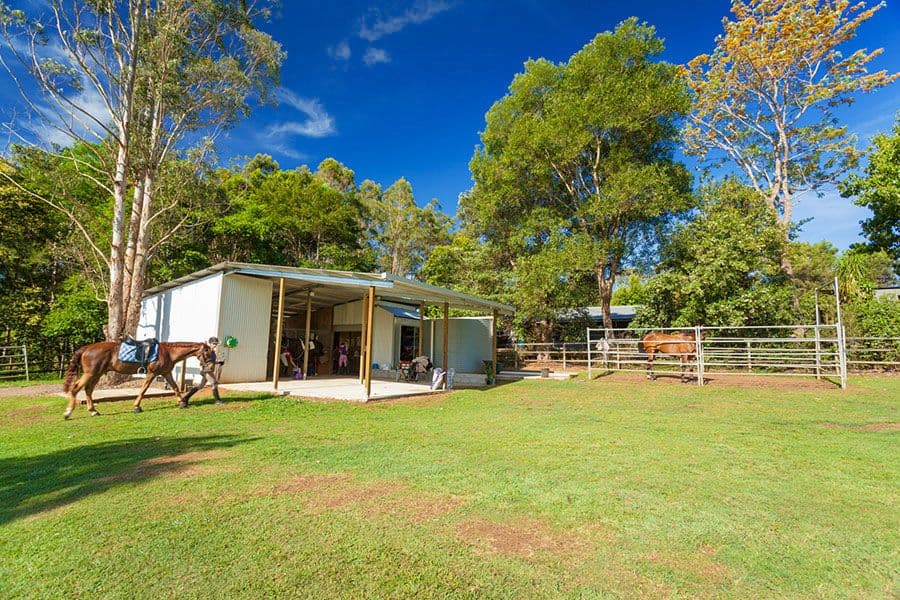 61 Pavilion Street, Pomona QLD 4568, Pomona - Thumbnail 8