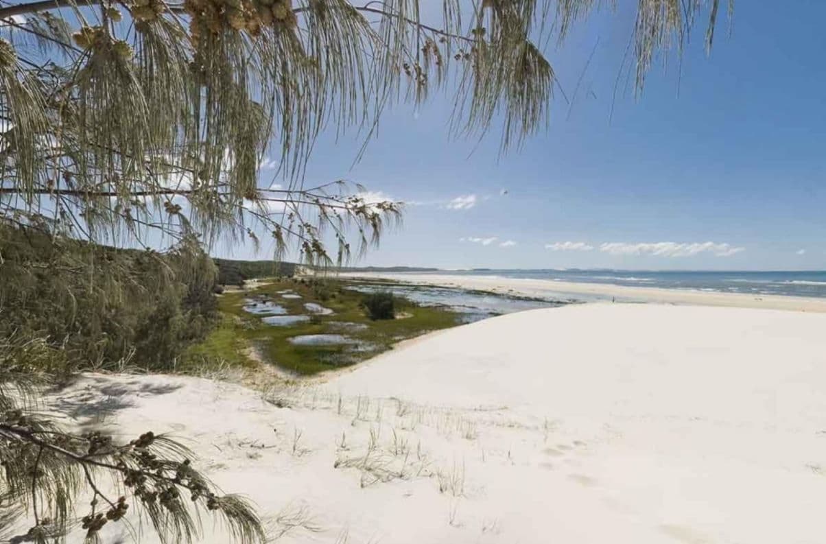 Lot 11 Eastern Forest, Kingfisher Bay Village, Fraser Island QLD 4581, Fraser Island - Thumbnail 5
