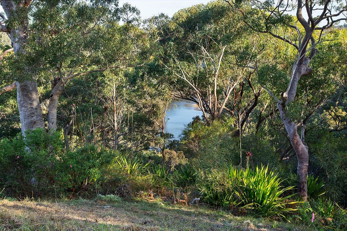 3 Dilkara Circuit, Bangor NSW 2234, Bangor - Thumbnail 2