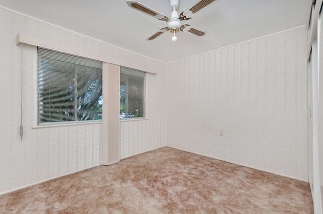175 Cascade Street, Raceview QLD 4305, Raceview - Thumbnail 8