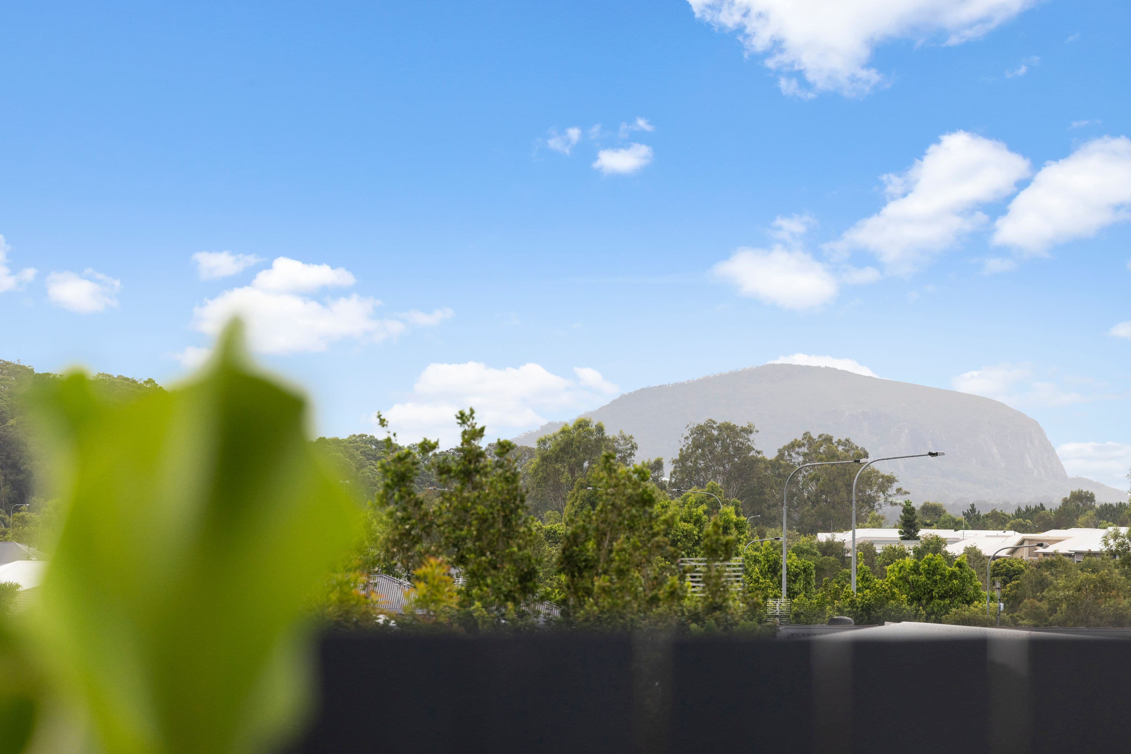 3 Butcherbird Crescent, Bli Bli QLD 4560, Bli Bli - Thumbnail 3