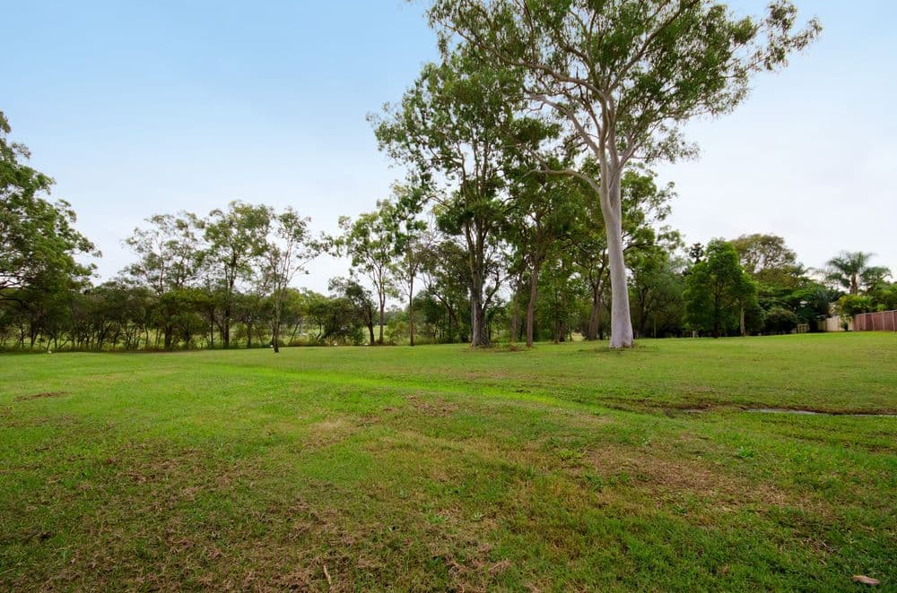 15 Ryedale Street, TINGALPA QLD 4173, Tingalpa - Thumbnail 6