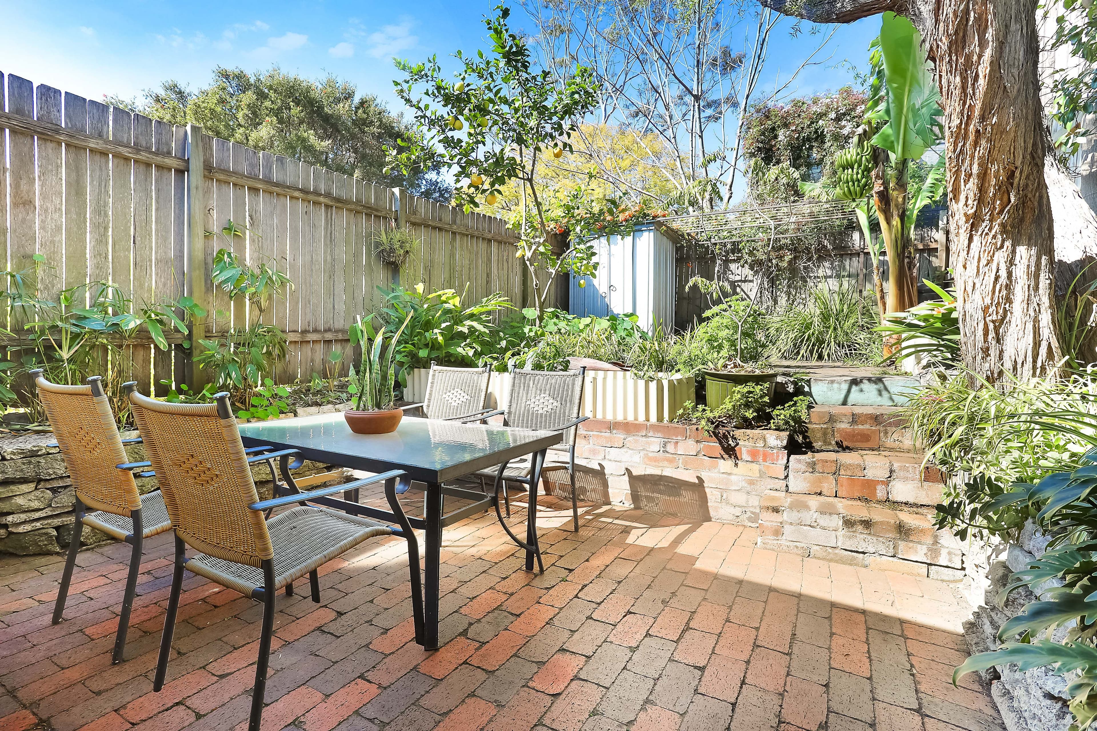 187 Denison Road, Dulwich Hill NSW 2203, Dulwich Hill - Thumbnail 7