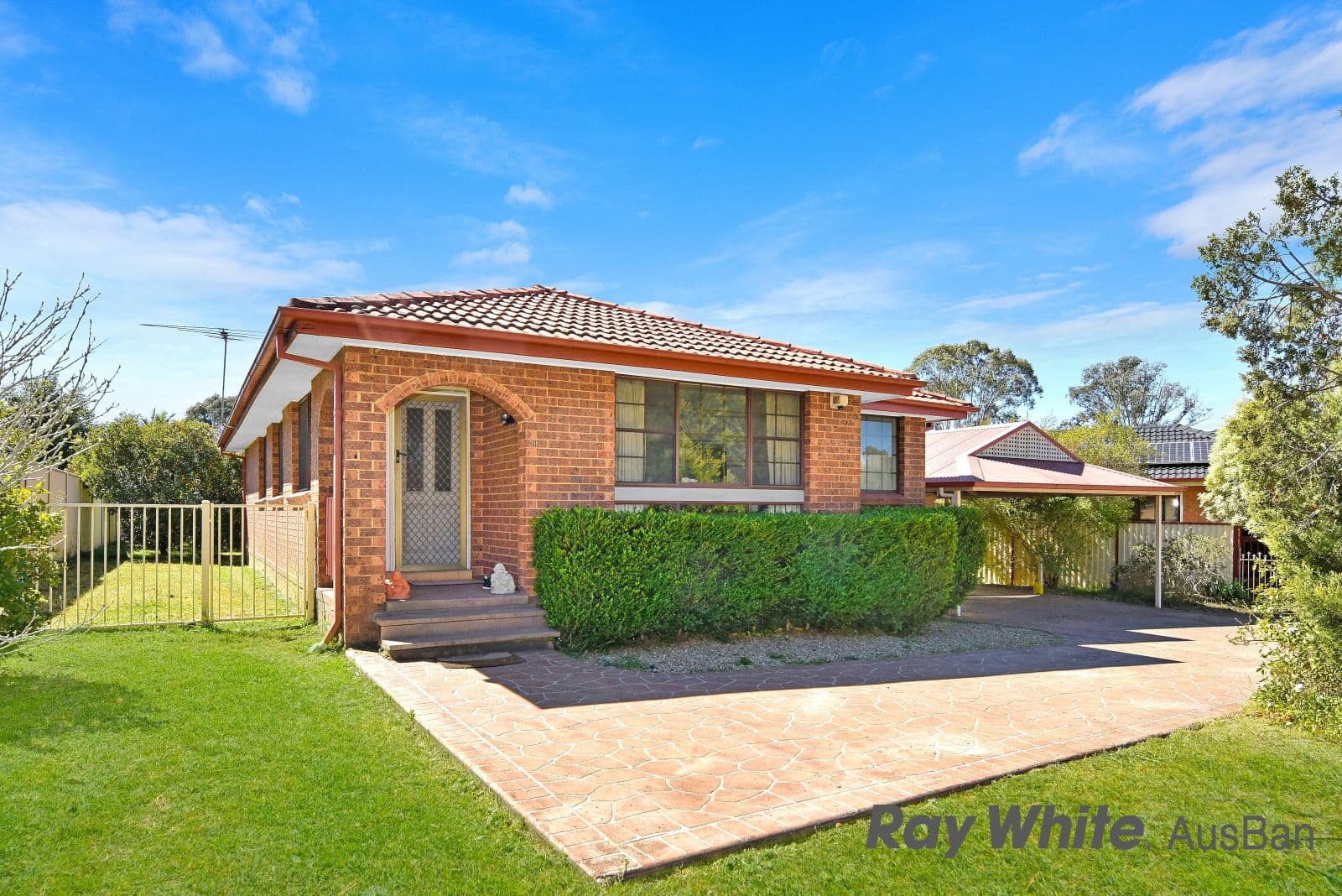 20. Groundsel, Macquarie Fields NSW 2564, Macquarie Fields - Image 1