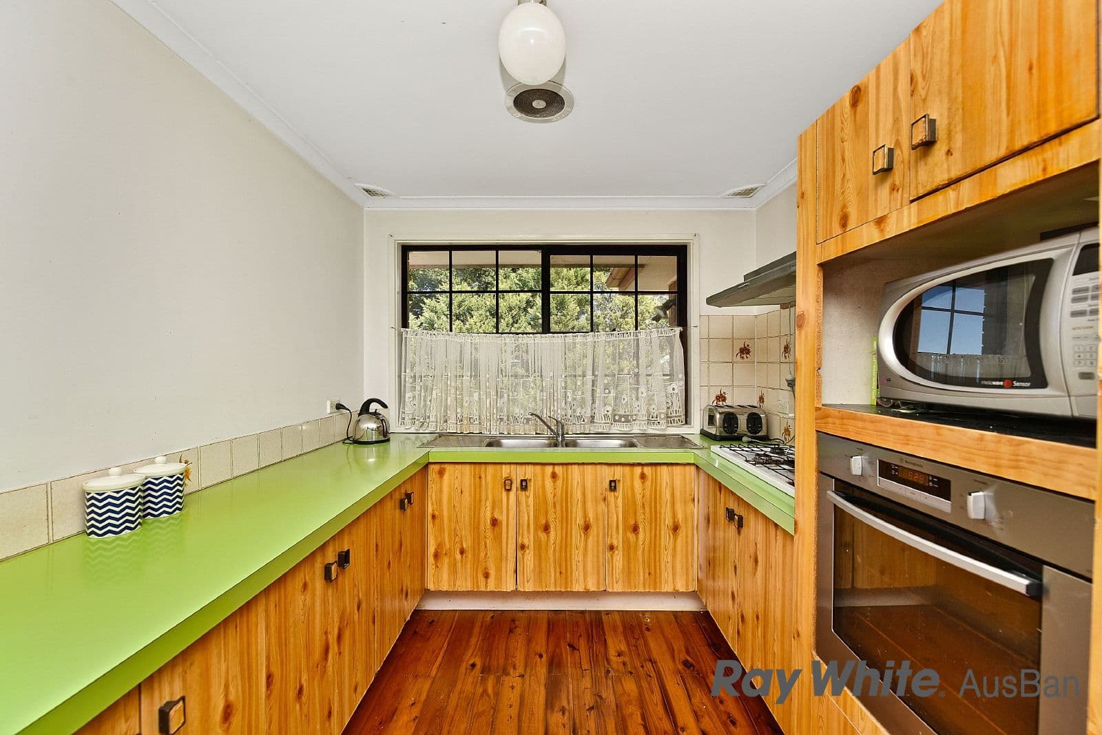 20. Groundsel, Macquarie Fields NSW 2564, Macquarie Fields - Thumbnail 4