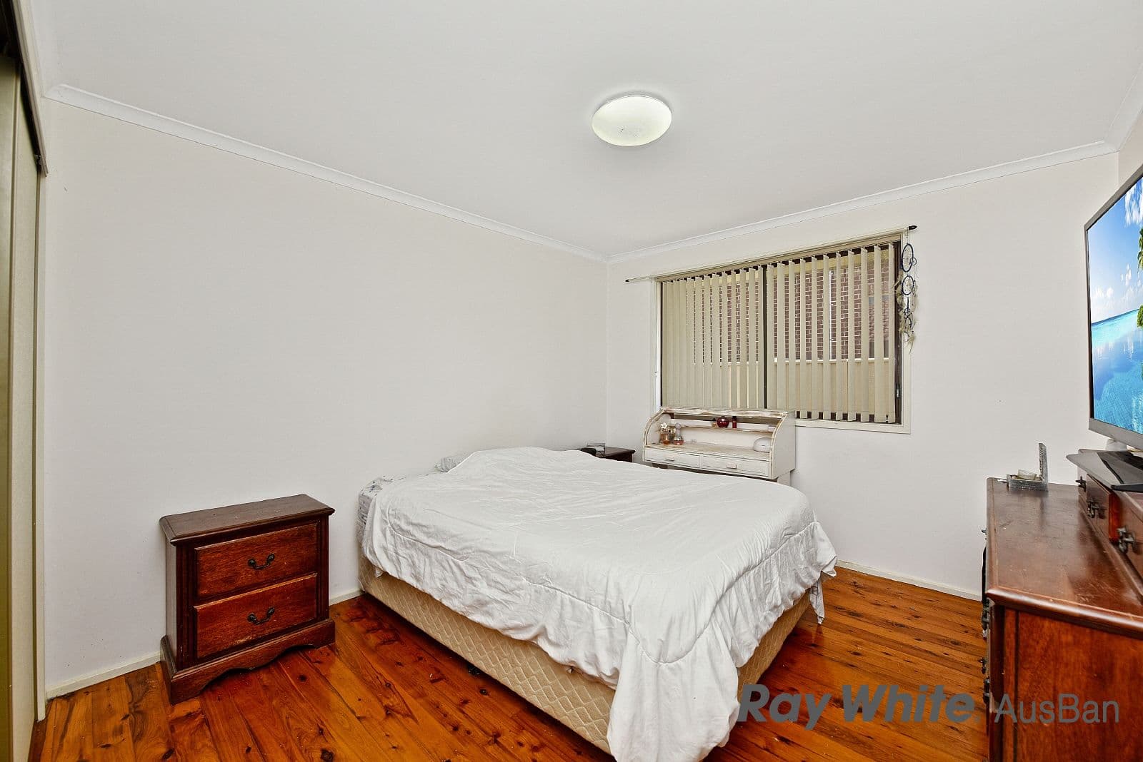 20. Groundsel, Macquarie Fields NSW 2564, Macquarie Fields - Thumbnail 5