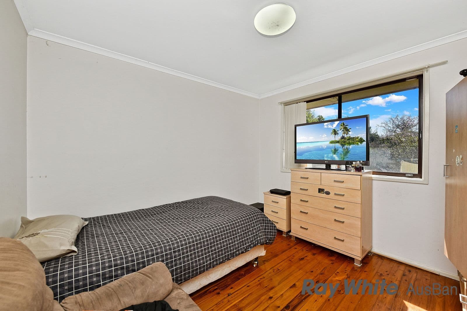 20. Groundsel, Macquarie Fields NSW 2564, Macquarie Fields - Thumbnail 6