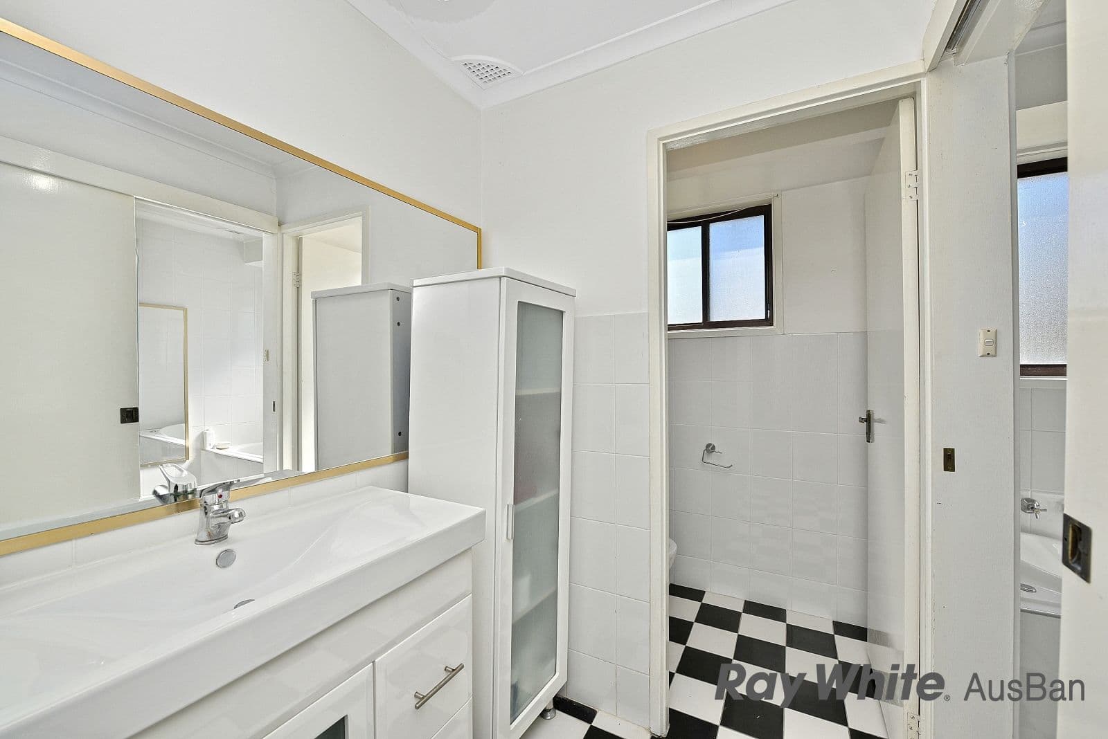 20. Groundsel, Macquarie Fields NSW 2564, Macquarie Fields - Thumbnail 7