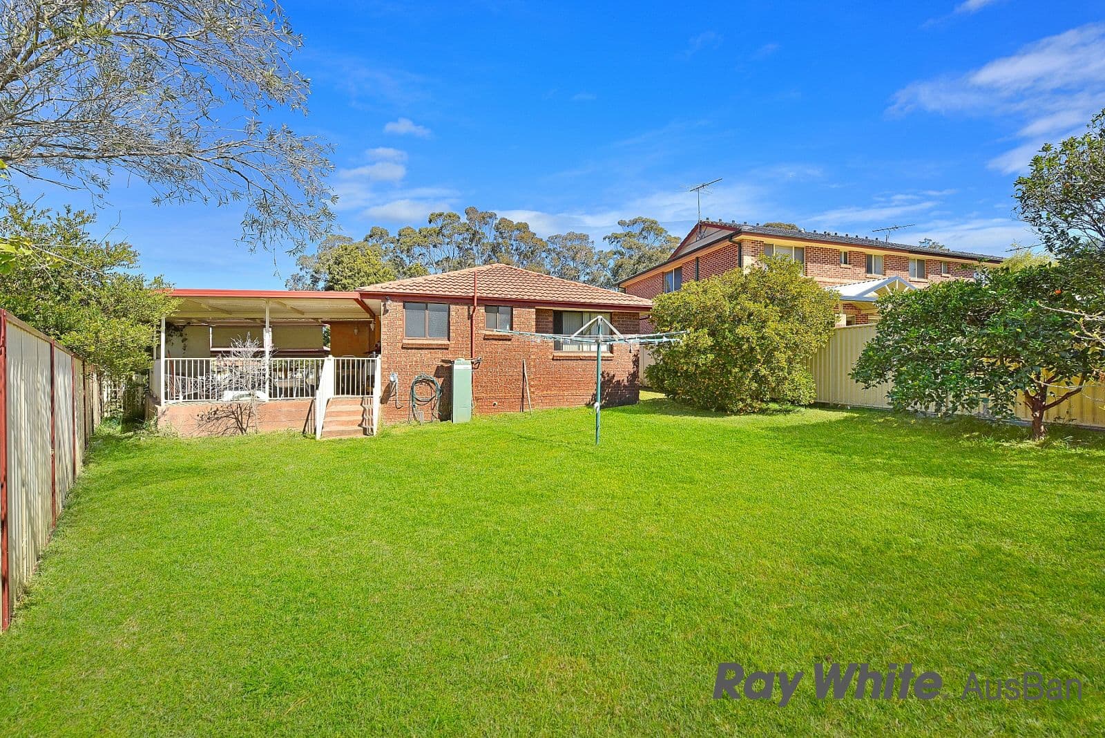 20. Groundsel, Macquarie Fields NSW 2564, Macquarie Fields - Thumbnail 8