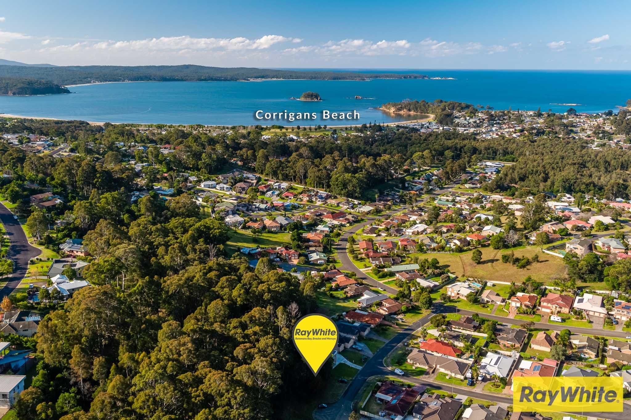 12 Correa Place, Catalina NSW 2536, Catalina - Thumbnail 5