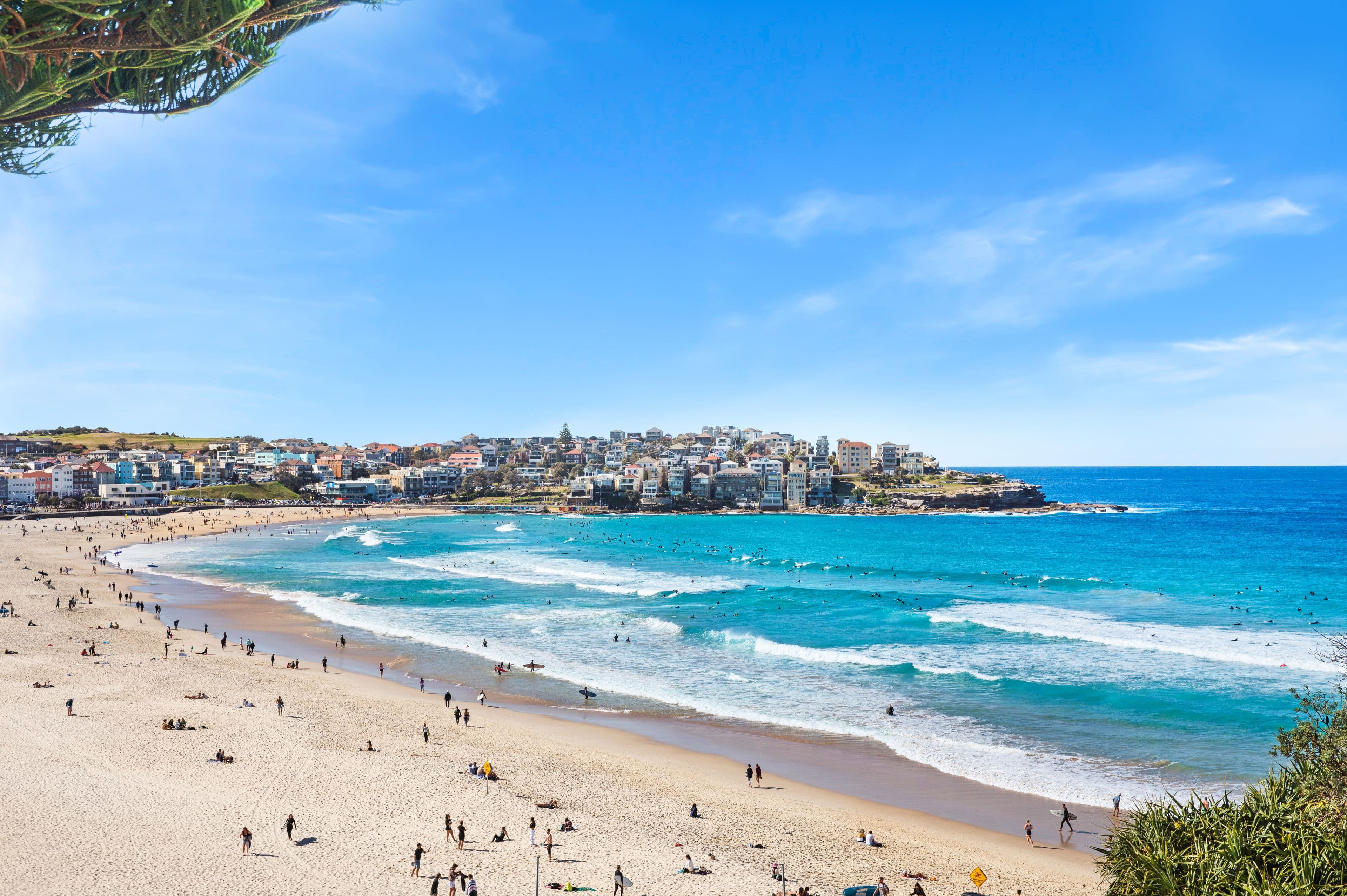 228 Campbell Parade, Bondi Beach NSW 2026, Bondi Beach - Thumbnail 8
