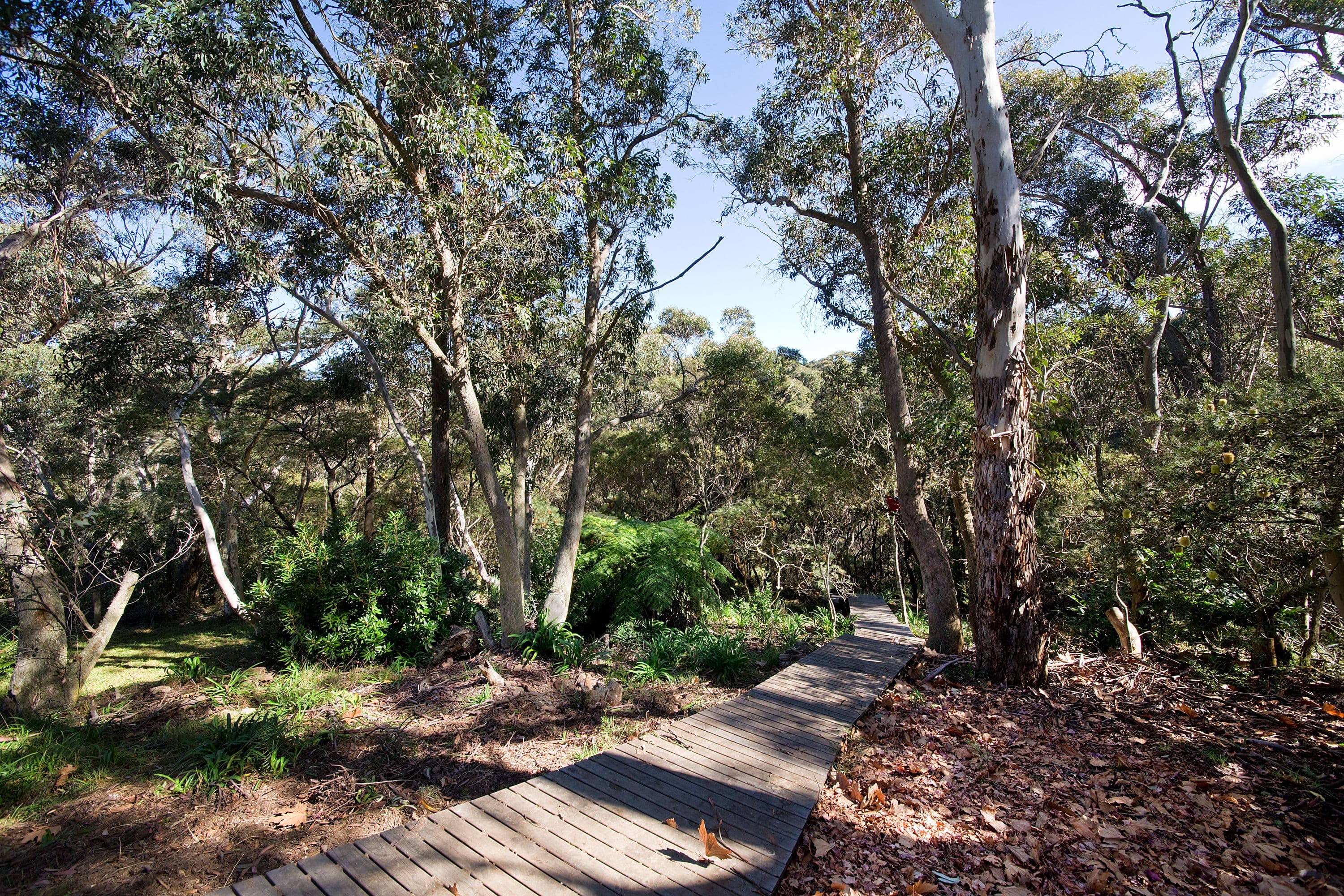 58 Waragil Street, Blackheath - Thumbnail 8