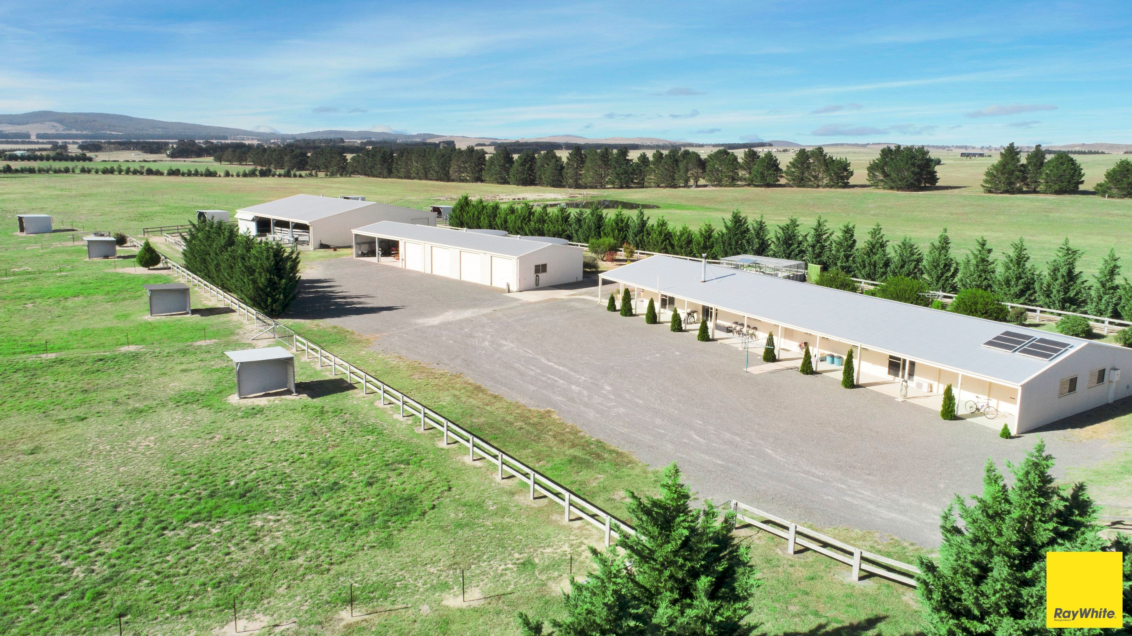 41 Burrabinga Road, Tarago - Image 1