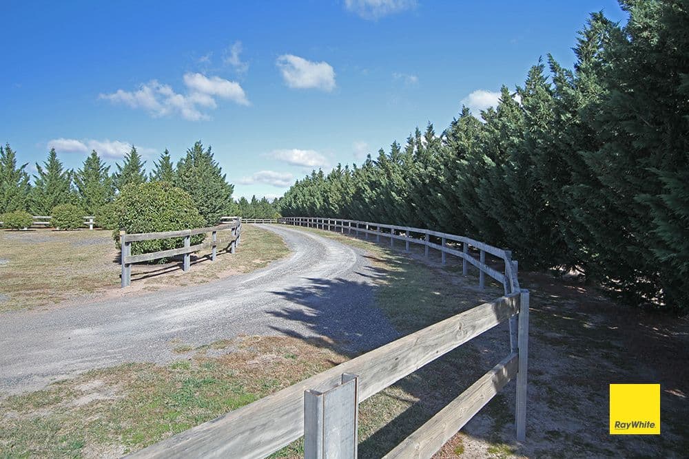 41 Burrabinga Road, Tarago - Thumbnail 4