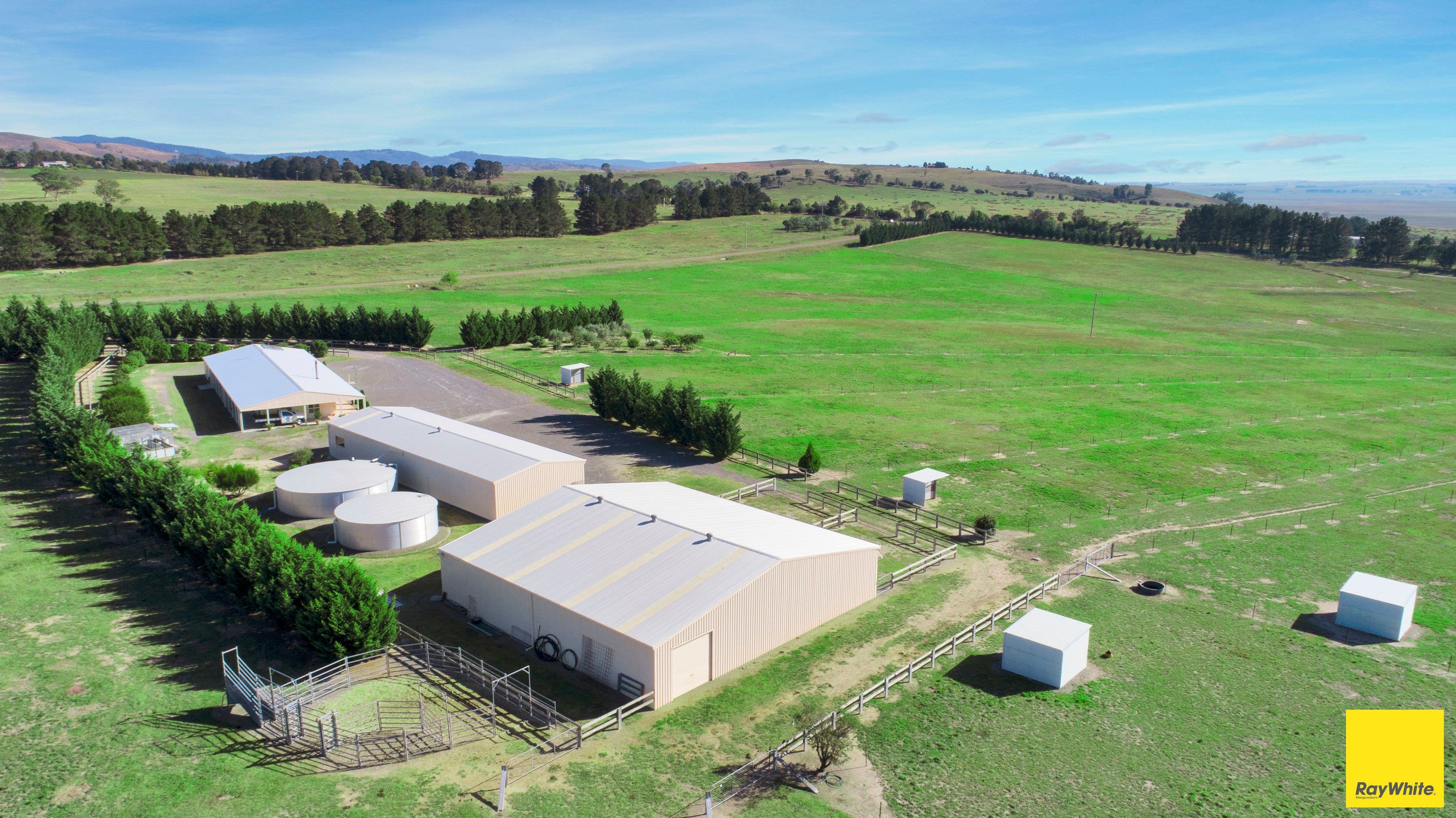41 Burrabinga Road, Tarago - Thumbnail 5