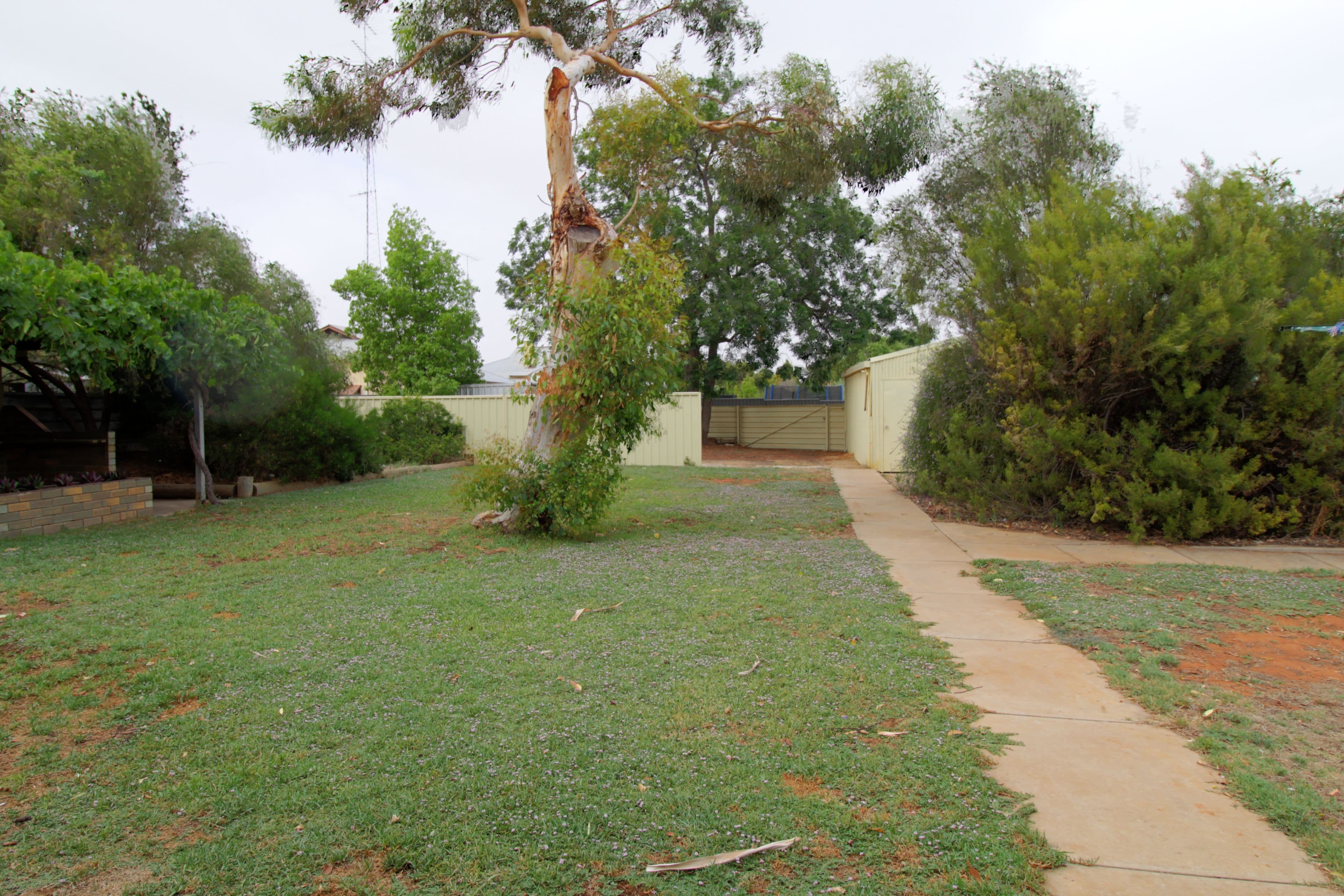32 Lake Avenue, Barmera SA 5345, Barmera - Thumbnail 8