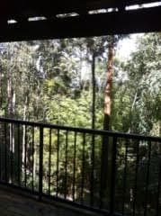 21 Sullivan Road, Tallebudgera QLD 4228, Tallebudgera - Thumbnail 8