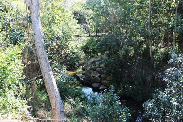 63 Bromwich Street, The Gap QLD 4061, The Gap - Thumbnail 4