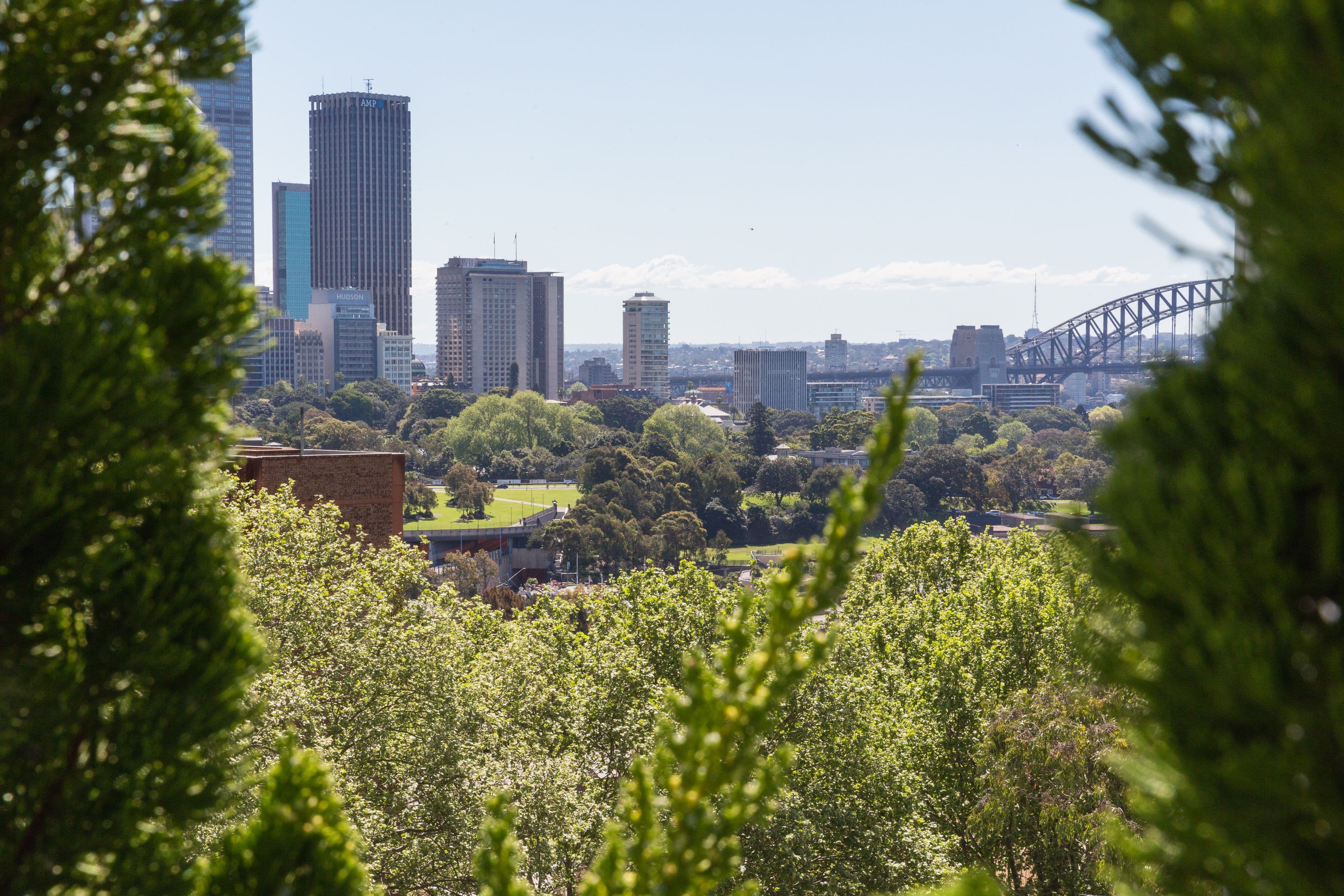 11 Springfield Avenue, Potts Point NSW 2011, Potts Point - Thumbnail 4