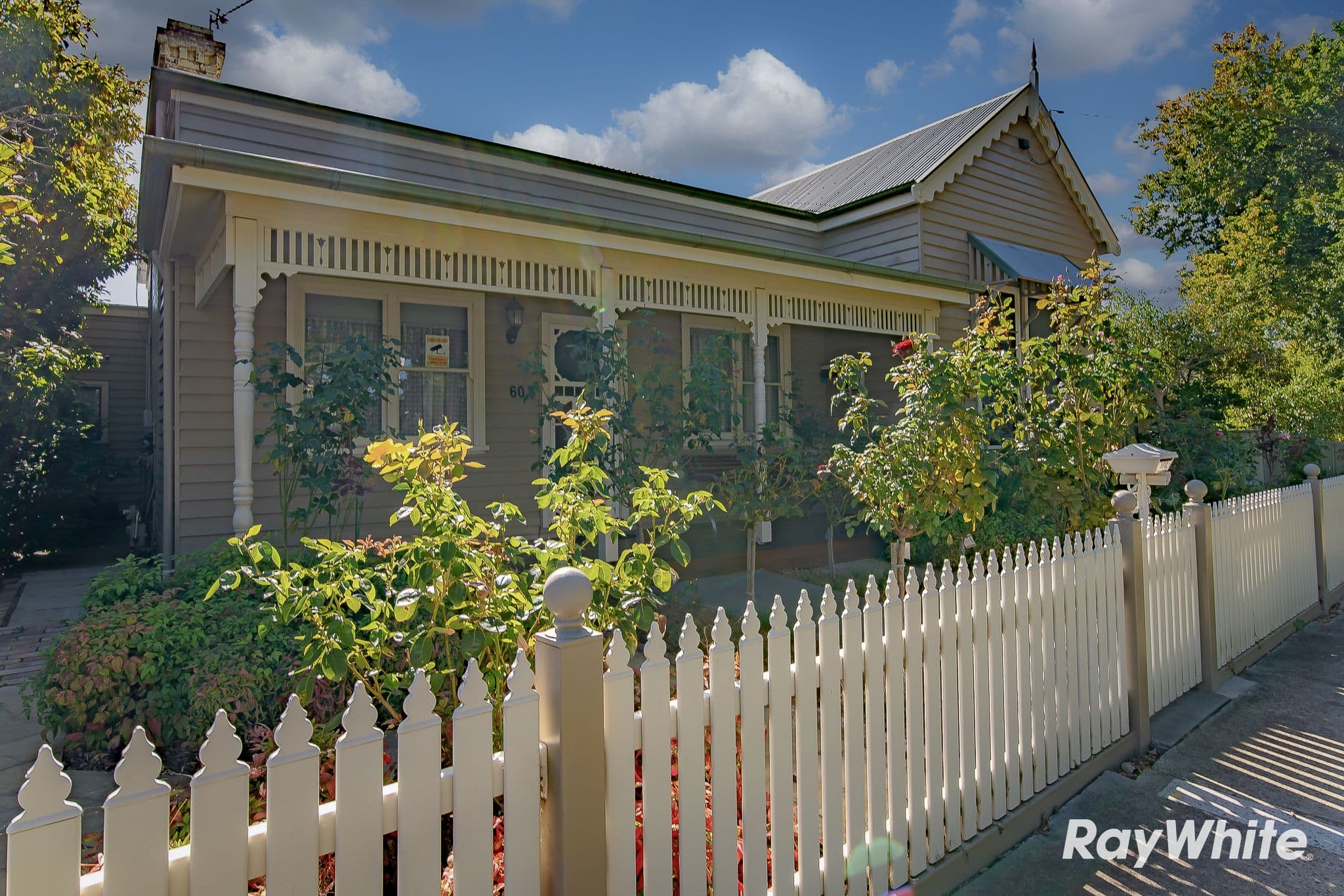 60 Arnold Street, Bendigo VIC 3550, Bendigo - Image 1