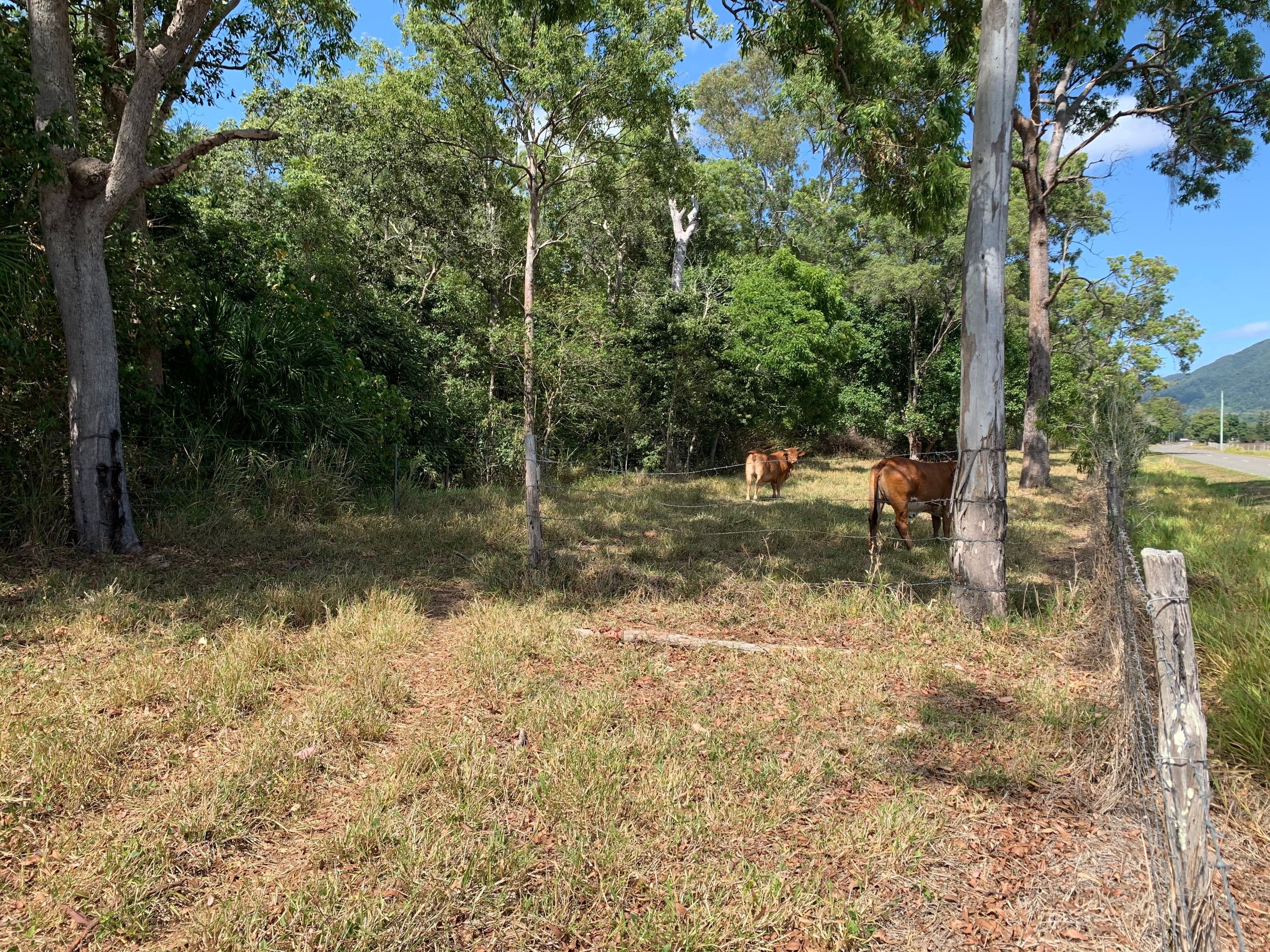 15 Johnson Road, Koumala QLD 4738, Koumala - Thumbnail 2