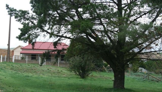 Lot 1 Mintaro Road, LEASINGHAM SA 5452, Leasingham - Image 1