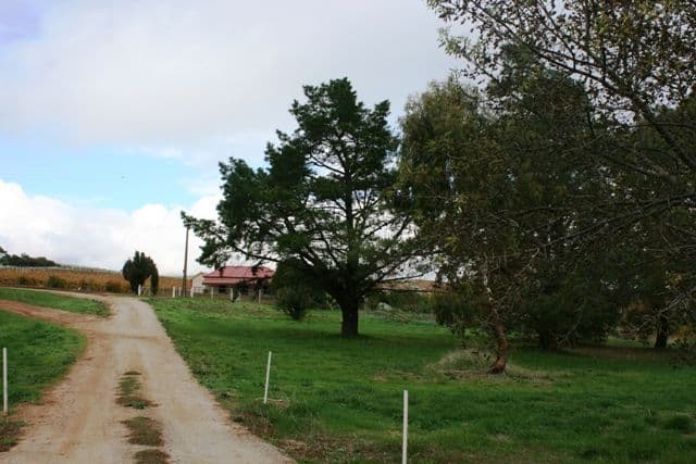 Lot 1 Mintaro Road, LEASINGHAM SA 5452, Leasingham - Thumbnail 8