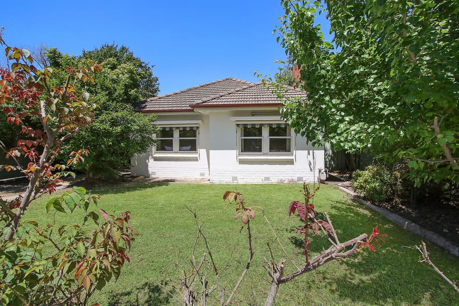 494 Schubach Street, East Albury NSW 2640, East Albury - Thumbnail 2