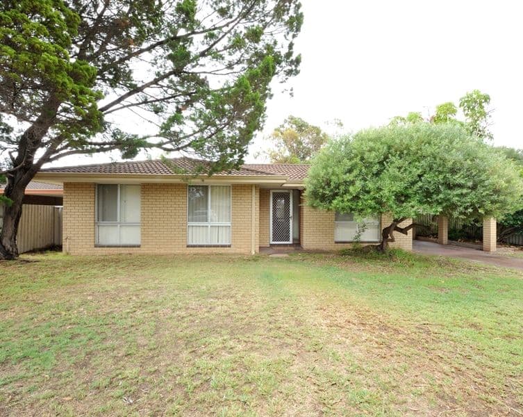 6 Ricketts Court, Rockingham WA 6168, Rockingham - Thumbnail 4