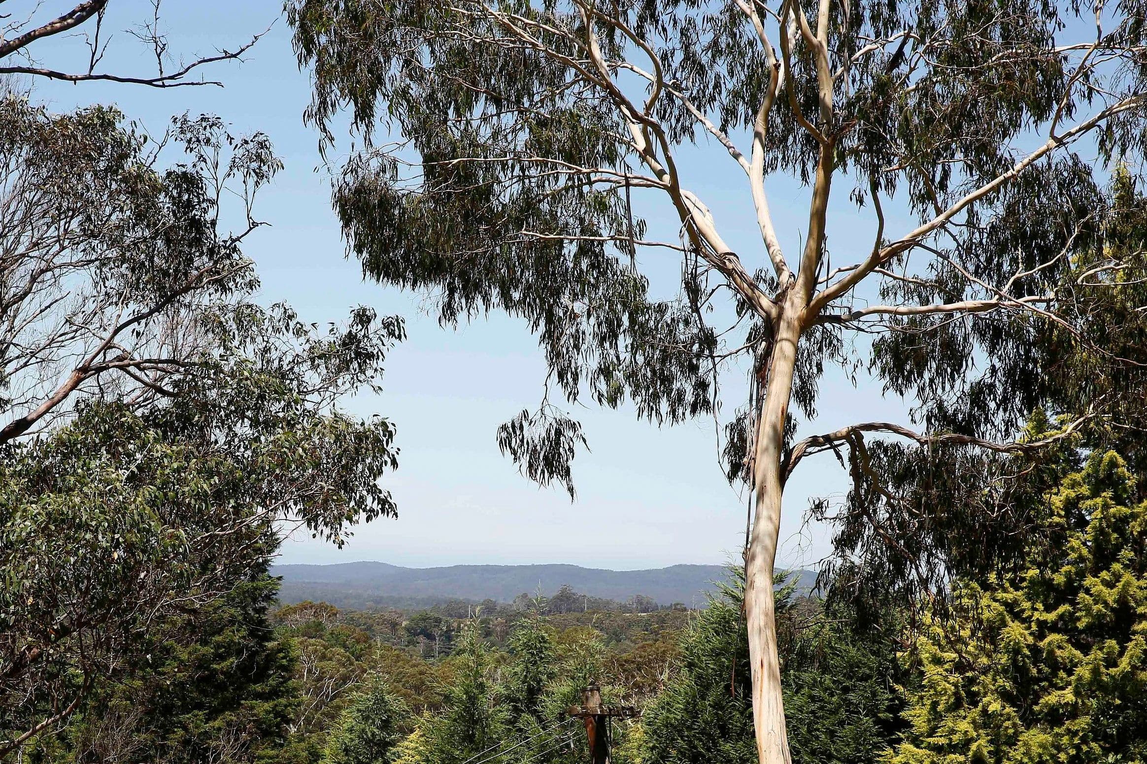 20 Murchison Street, Mittagong - Thumbnail 8