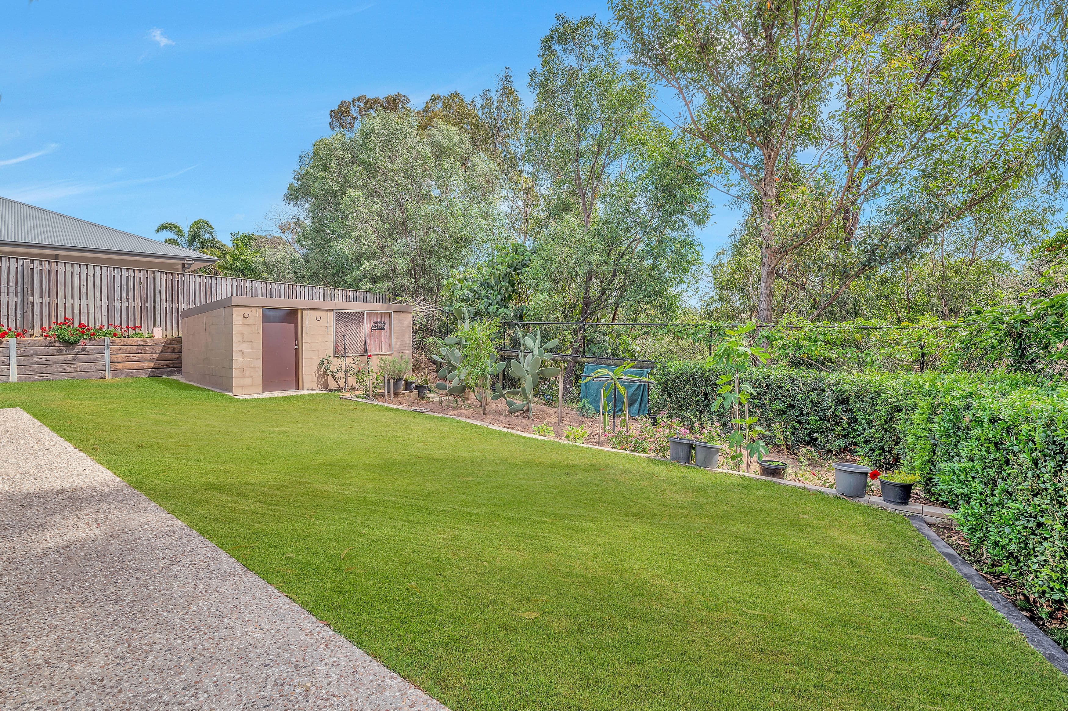 24 Hans Street, Upper Coomera QLD 4209, Upper Coomera - Thumbnail 4