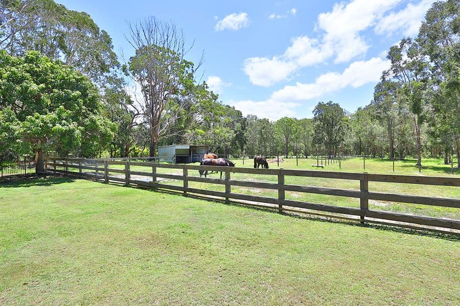 29b Jirrima Crescent, Cooroibah QLD 4565, Cooroibah - Thumbnail 5