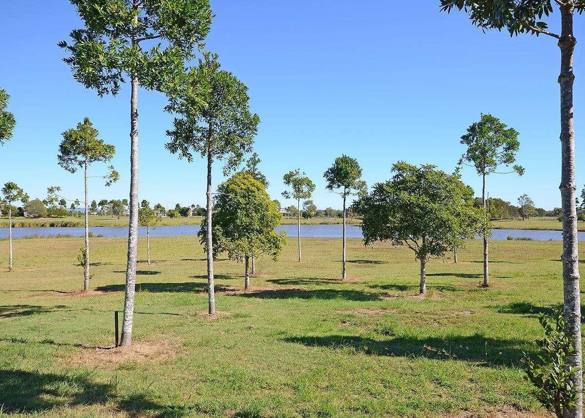 7 Brolga Court, Eli Waters QLD 4655, Eli Waters - Image 1