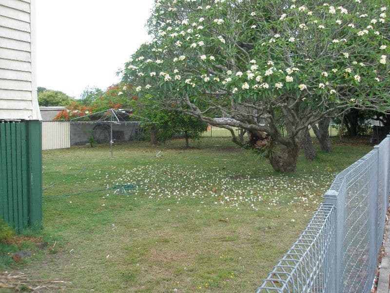 8 Powers Street, BUNDABERG WEST QLD 4670, Bundaberg West - Thumbnail 6