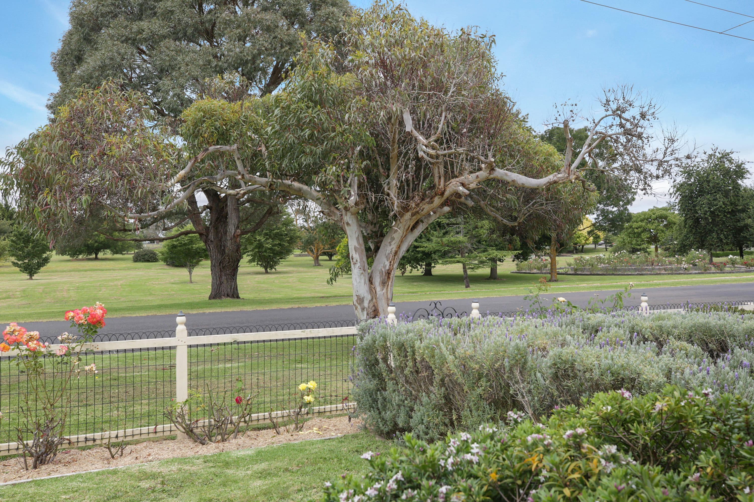 116 Beulah Road, Norwood SA 5067, Norwood - Thumbnail 2