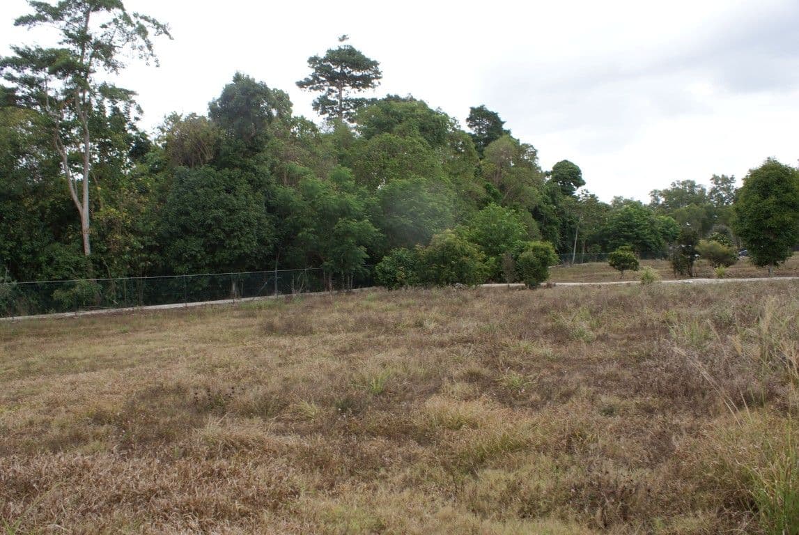 12 Reef Close, Mission Beach QLD 4852, Mission Beach - Thumbnail 2