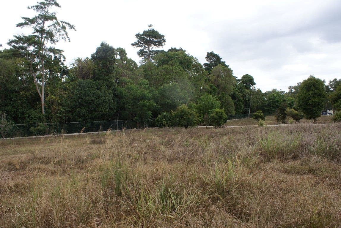 12 Reef Close, Mission Beach QLD 4852, Mission Beach - Thumbnail 6