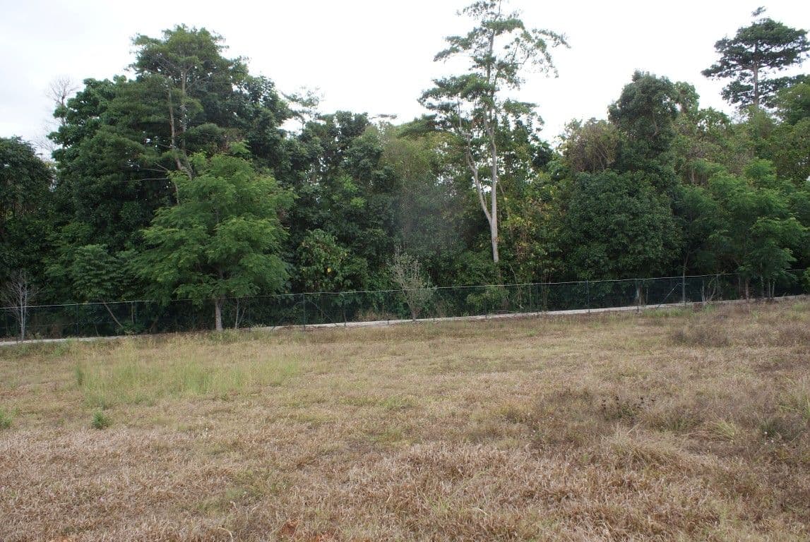 12 Reef Close, Mission Beach QLD 4852, Mission Beach - Thumbnail 8