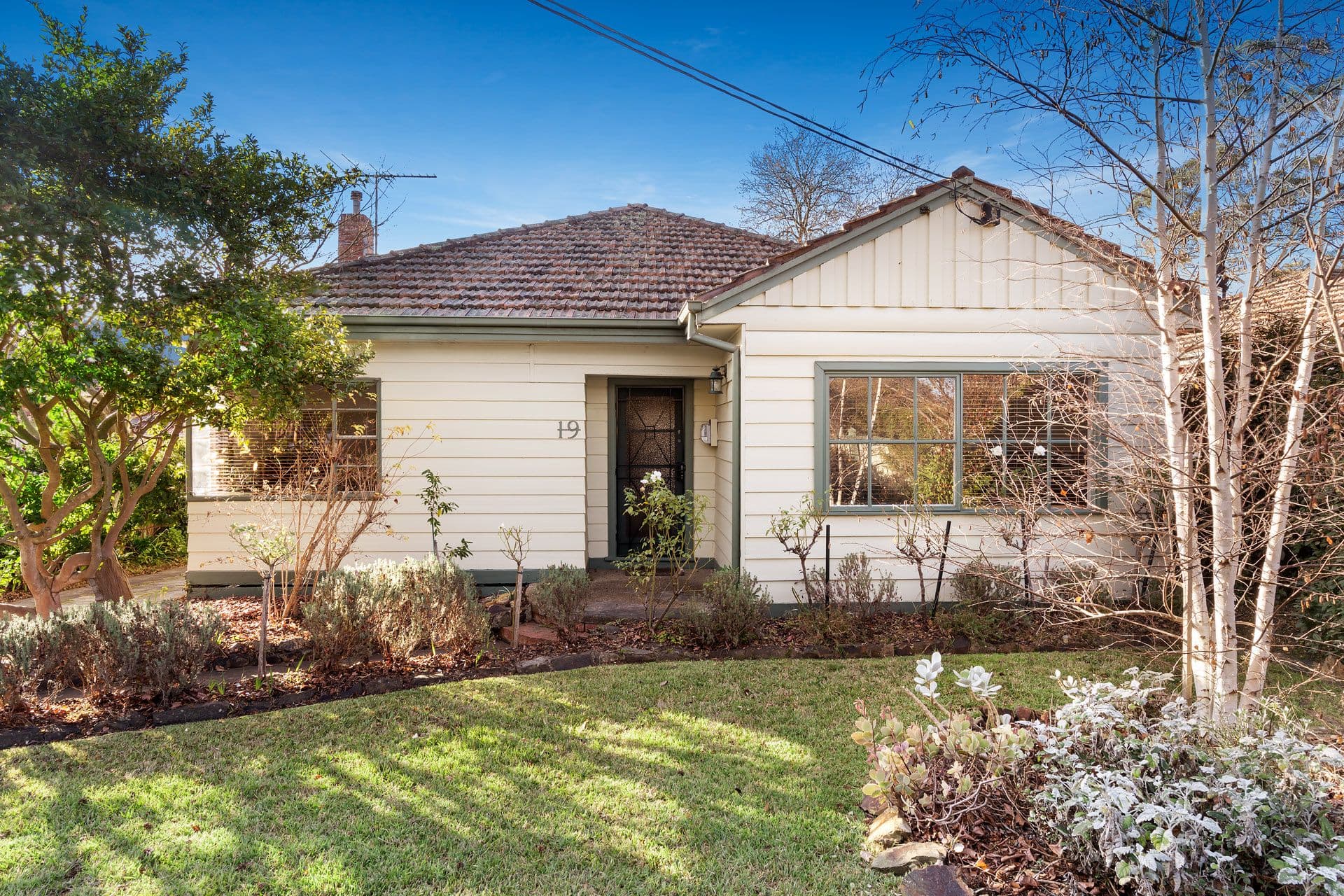 19 Mckean Street, Box Hill North VIC 3129, Box Hill North - Image 1